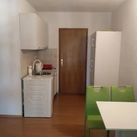Ivasnjak With A Sea View Apartament *